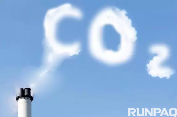 1484291424969208pIgo.jpg 2.jpg