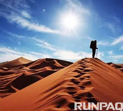 1484874536383937SoZC.jpg 5.jpg