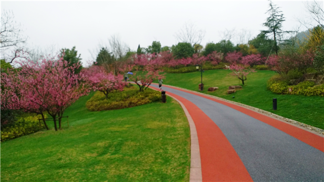 15203189783573639Sdo.png 圖片5_副本.png