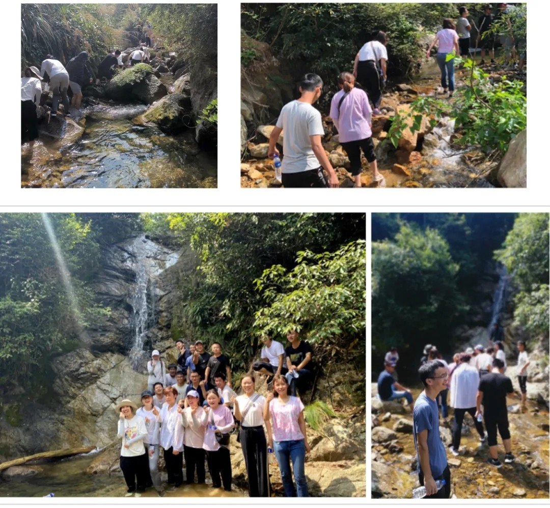 159901761433857440F5.jpg 640.webp (1).jpg