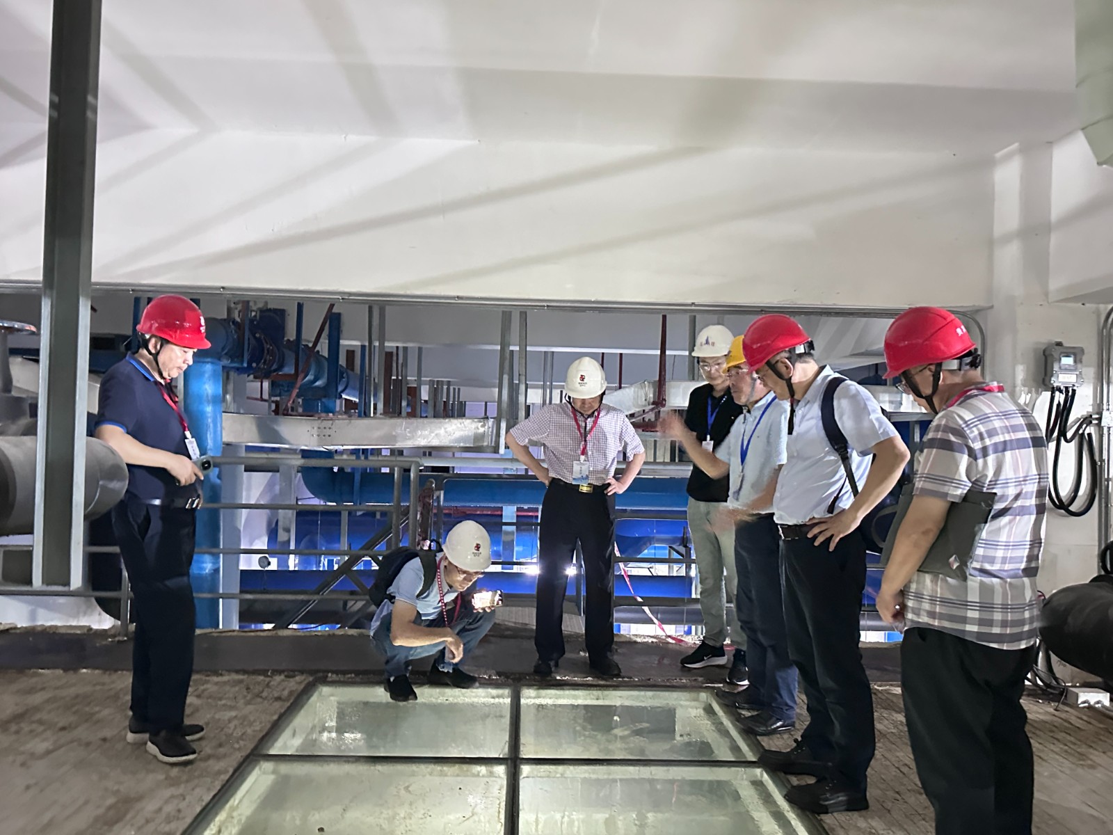 1723535563261676p448.jpg 1723535563261676p448.jpg