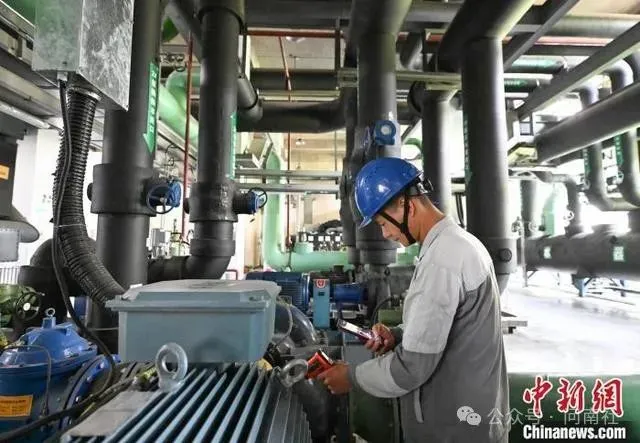 1724291058137426D6DE.jpg 4.jpg