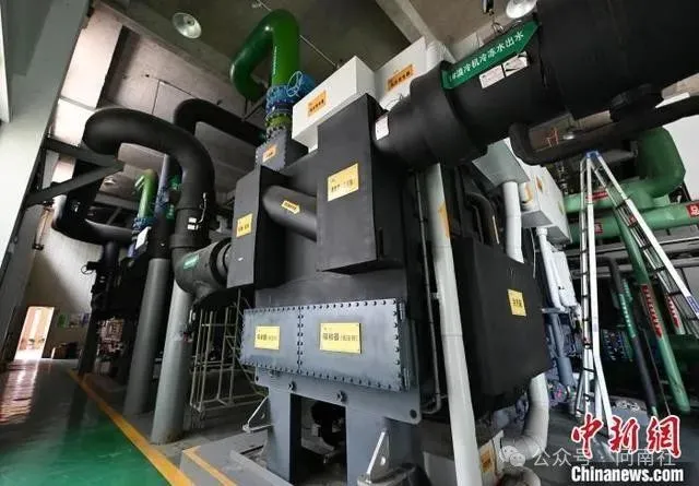 1724291074980694119D.jpg 5.jpg