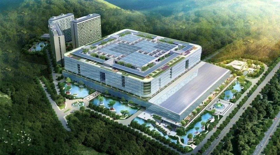 1731395219122042CFF0.jpg 5.jpg