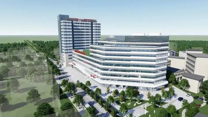 1733208871699395968D.jpg 2.jpg