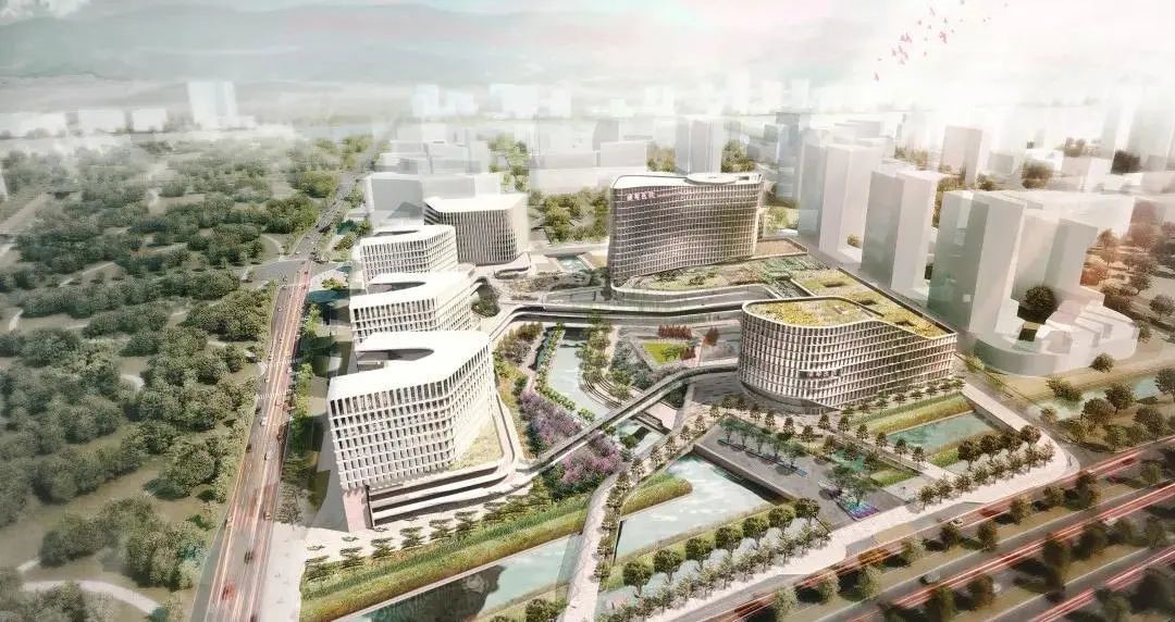 1733209022918986E8E3.jpg 4.jpg